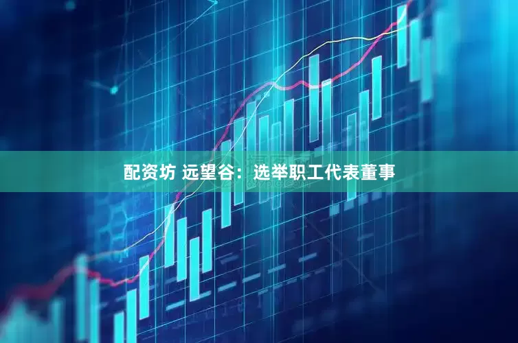 配资坊 远望谷：选举职工代表董事