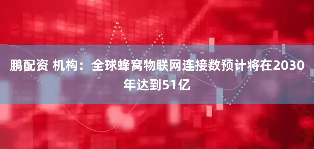 鹏配资 机构：全球蜂窝物联网连接数预计将在2030年达到51亿